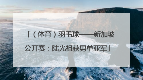 （体育）羽毛球——新加坡公开赛：陆光祖获男单亚军