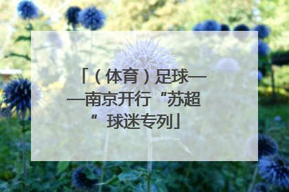 （体育）足球——南京开行“苏超”球迷专列