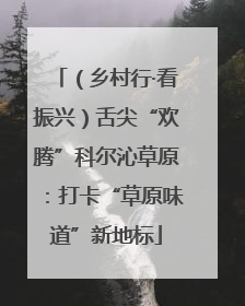 （乡村行·看振兴）舌尖“欢腾”科尔沁草原：打卡“草原味道”新地标