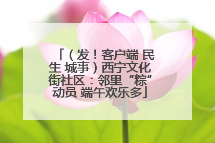 （发！客户端 民生 城事）西宁文化街社区：邻里“粽”动员 端午欢乐多