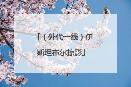 （外代一线）伊斯坦布尔掠影