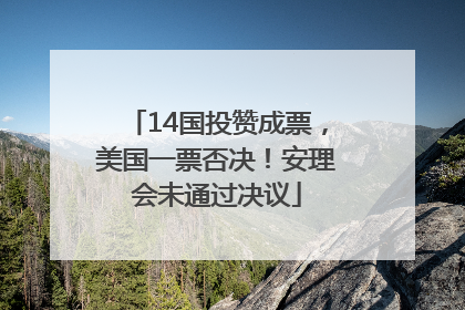 14国投赞成票，美国一票否决！安理会未通过决议