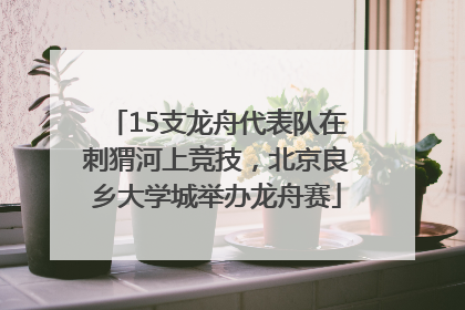 15支龙舟代表队在刺猬河上竞技，北京良乡大学城举办龙舟赛