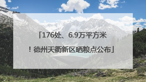 176处、6.9万平方米！德州天衢新区晒粮点公布