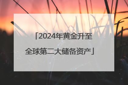 2024年黄金升至全球第二大储备资产