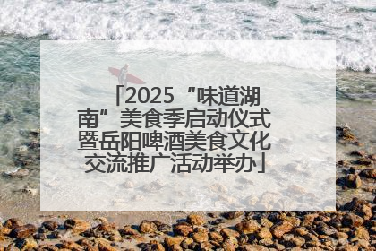 2025“味道湖南”美食季启动仪式暨岳阳啤酒美食文化交流推广活动举办