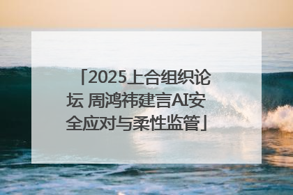 2025上合组织论坛 周鸿祎建言AI安全应对与柔性监管
