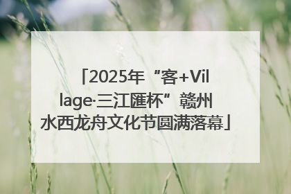 2025年“客+Village·三江匯杯”赣州水西龙舟文化节圆满落幕