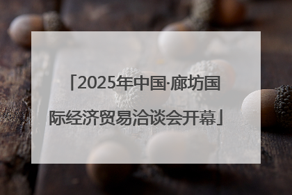 2025年中国·廊坊国际经济贸易洽谈会开幕