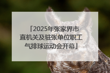 2025年张家界市直机关及驻张单位职工气排球运动会开幕
