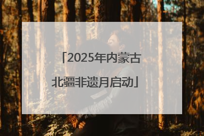 2025年内蒙古北疆非遗月启动