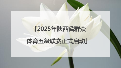 2025年陕西省群众体育五级联赛正式启动