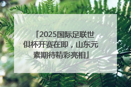 2025国际足联世俱杯开赛在即，山东元素期待精彩亮相