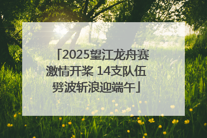 2025望江龙舟赛激情开桨 14支队伍劈波斩浪迎端午