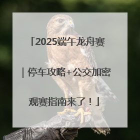 2025端午龙舟赛｜停车攻略+公交加密 观赛指南来了！