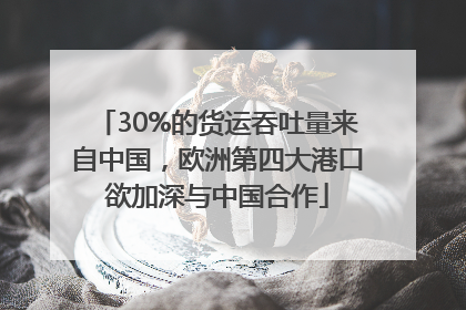 30%的货运吞吐量来自中国，欧洲第四大港口欲加深与中国合作