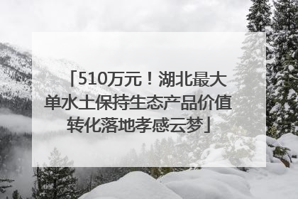 510万元！湖北最大单水土保持生态产品价值转化落地孝感云梦