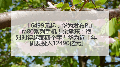 6499元起，华为发布Pura80系列手机！余承东：绝对对得起那四个字！华为近十年研发投入12490亿元