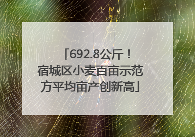 692.8公斤！宿城区小麦百亩示范方平均亩产创新高