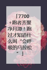 7700+跑者齐聚净月潭！跑过才知道什么叫“会呼吸的马拉松”