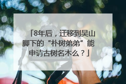 8年后，迁移到吴山脚下的“朴树弟弟”能申请古树名木么？