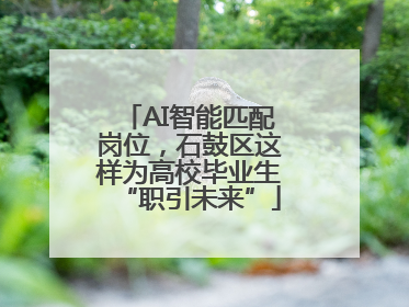 AI智能匹配岗位，石鼓区这样为高校毕业生“职引未来”
