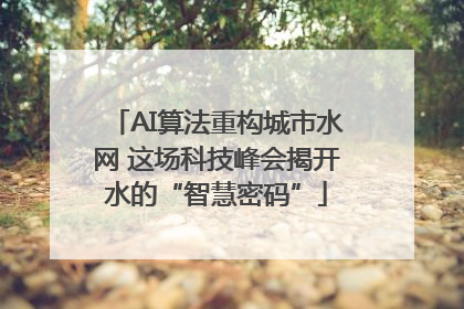 AI算法重构城市水网 这场科技峰会揭开水的“智慧密码”