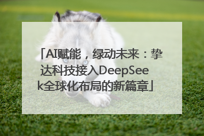 AI赋能，绿动未来：挚达科技接入DeepSeek全球化布局的新篇章
