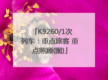 K9260/1次列车：重点旅客 重点照顾(图)