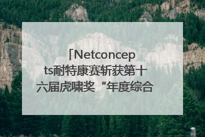 Netconcepts耐特康赛斩获第十六届虎啸奖“年度综合服务商”大奖